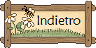 Indietro