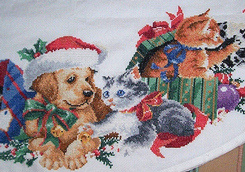 Esempio 3 - Diritto Esempio 3 - Diritto